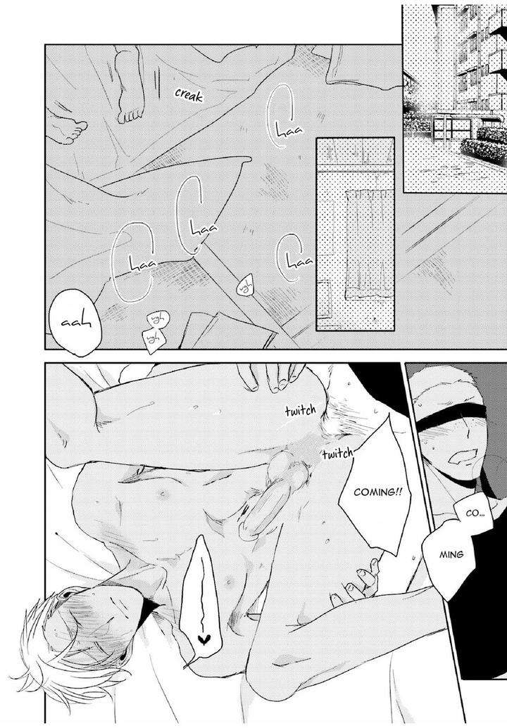 Principle-Sachimo-Eng page 15