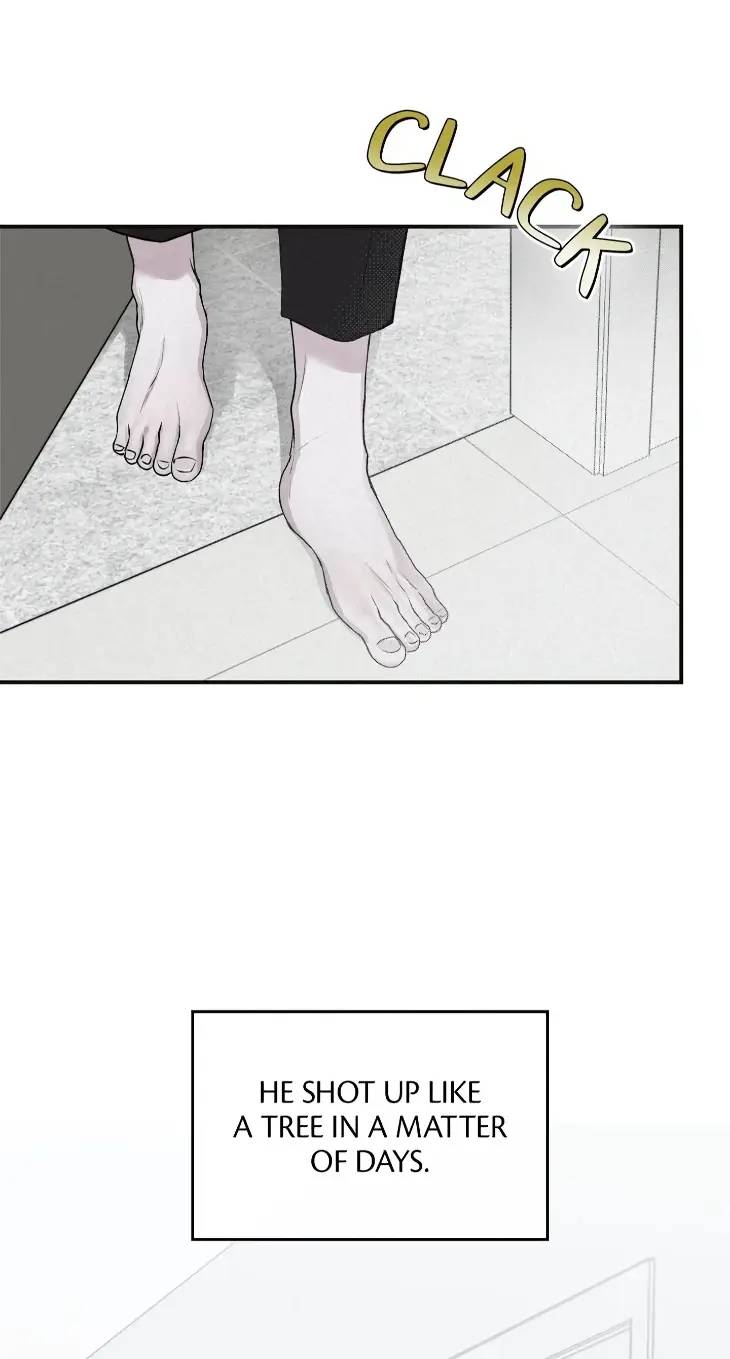 Projection-By-Wabi-Eng page 4