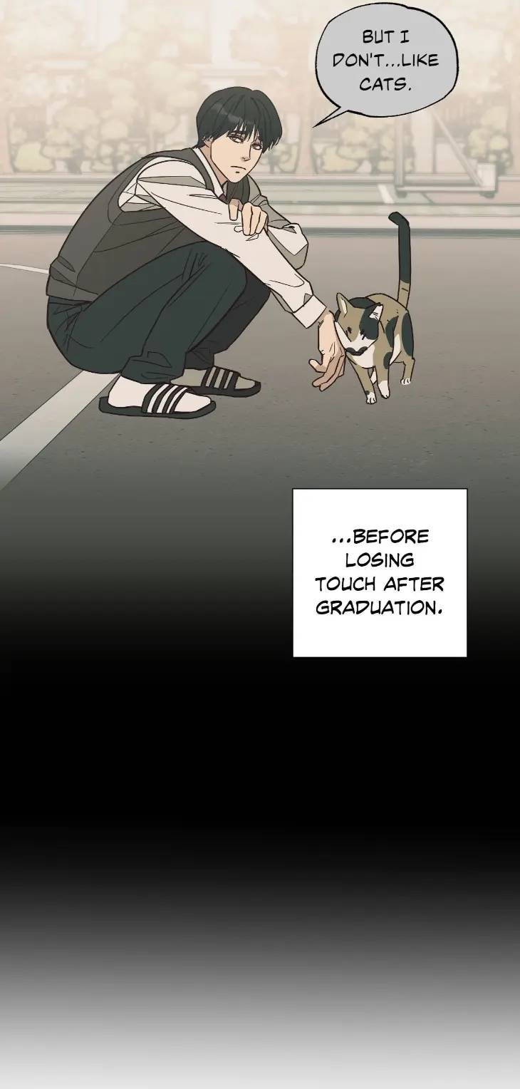 Purrfect-Choice-By-Dal-Hyeonji-Uncensored-Eng page 14