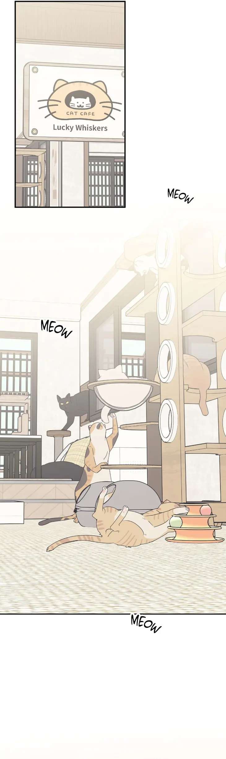 Purrfect-Choice-By-Dal-Hyeonji-Uncensored-Eng page 30