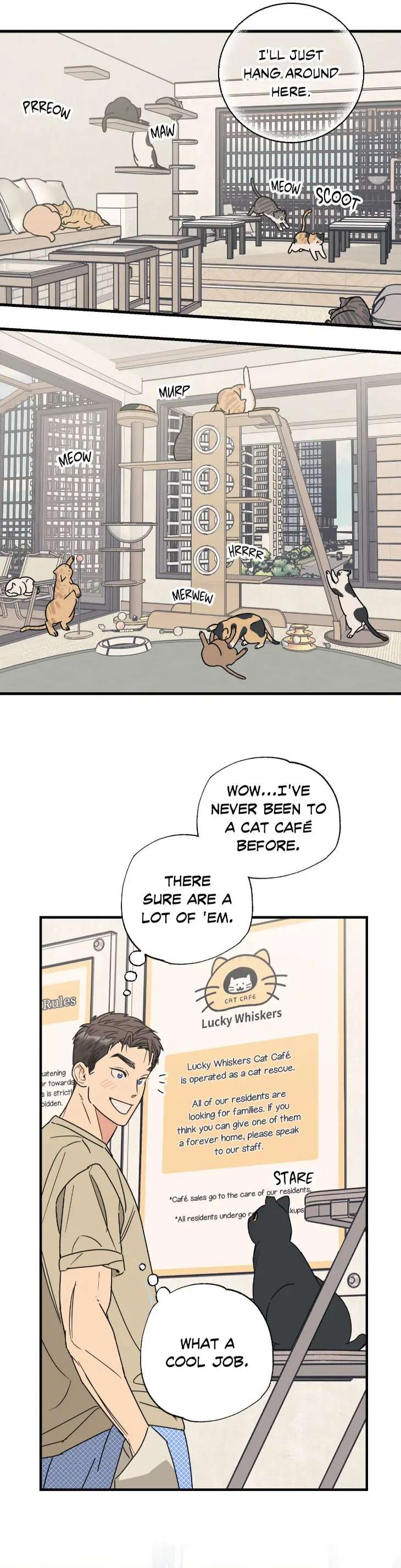 Purrfect-Choice-By-Dal-Hyeonji-Uncensored-Eng page 2