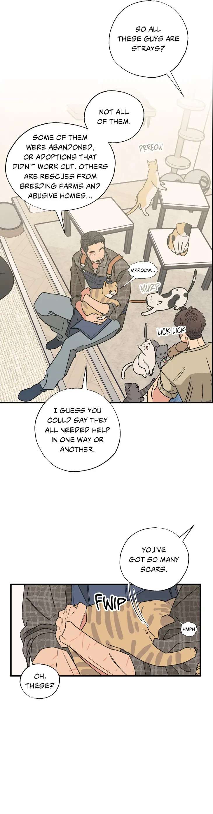 Purrfect-Choice-By-Dal-Hyeonji-Uncensored-Eng page 15