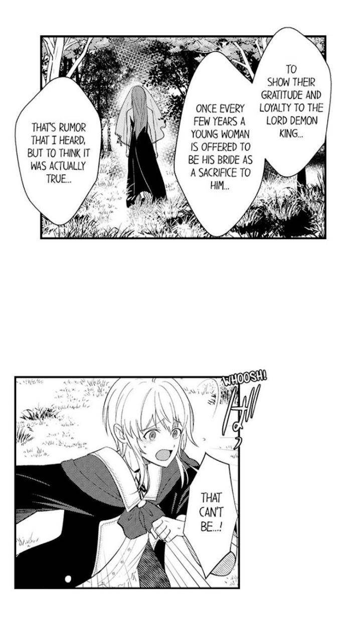 Reincarnated-Into-Demon-King-Evelogias-World-By-Io-Kaziwara-Eng page 23