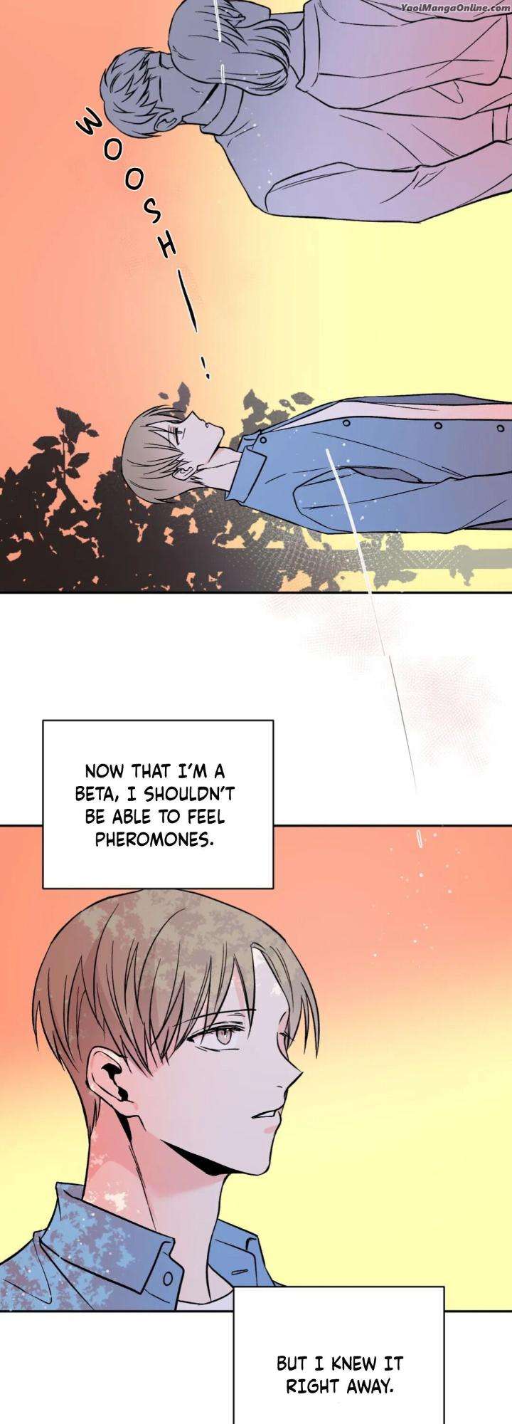 Reversal-By-Saejo-Eng page 31