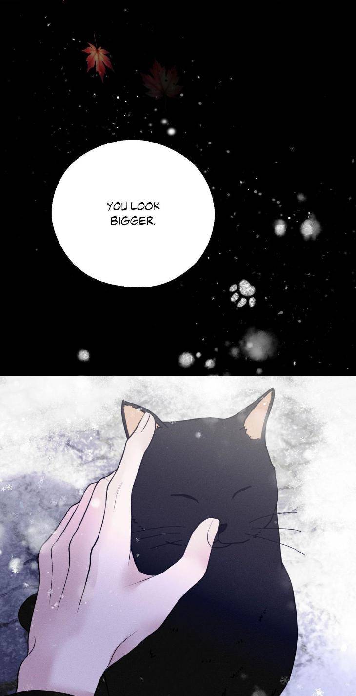 Save-The-Dae-By-Wageul-Uncensored-Ch-Eng page 72