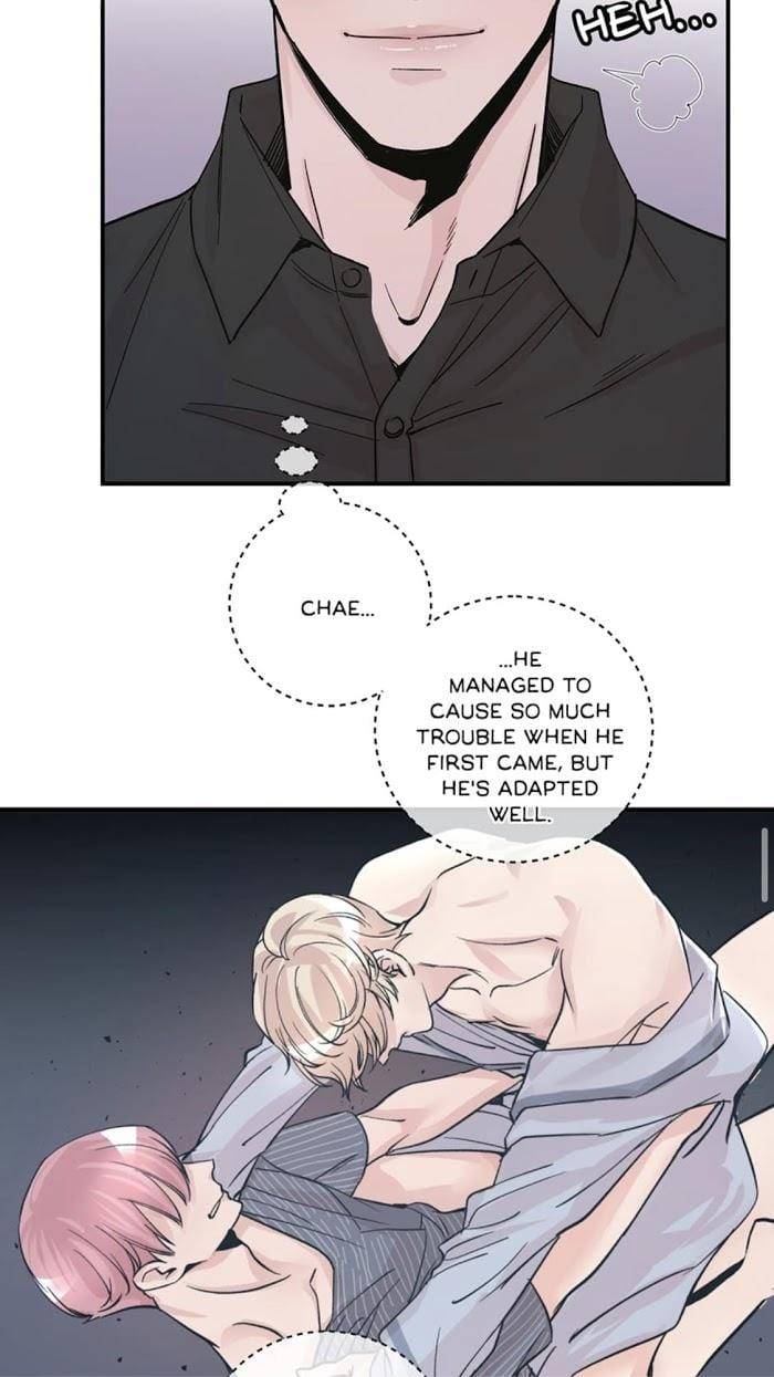 Scandalous-M-By-Kim-Dan-Wnb-Hair-Eng page 30