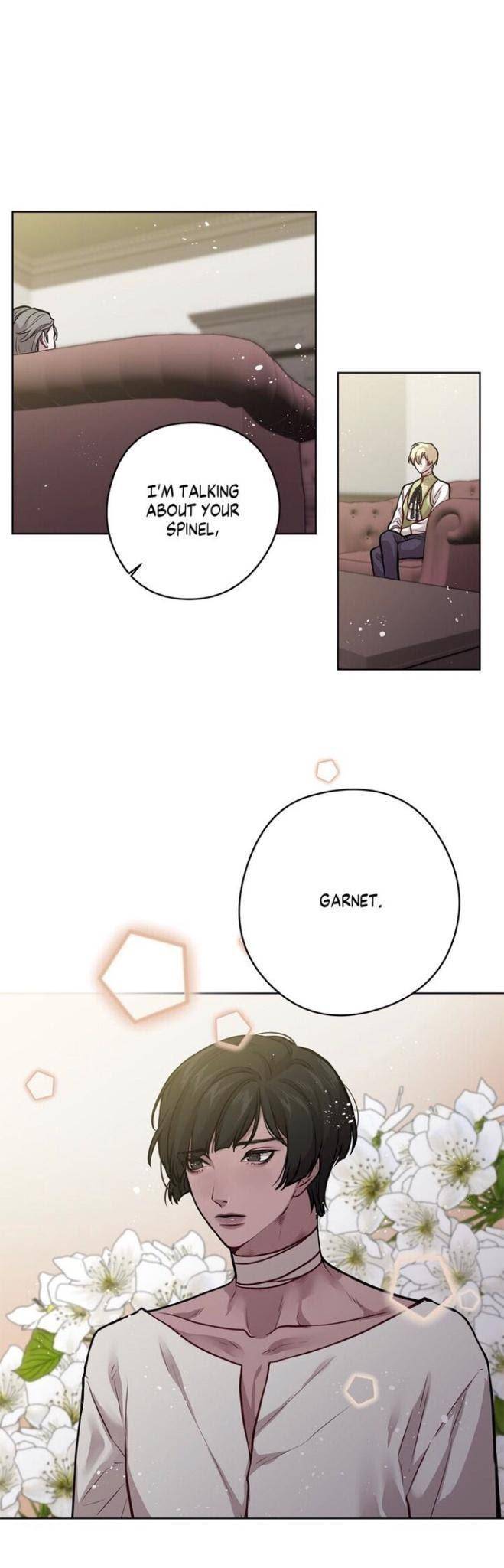 Spinel-By-Baekji-Eng page 17