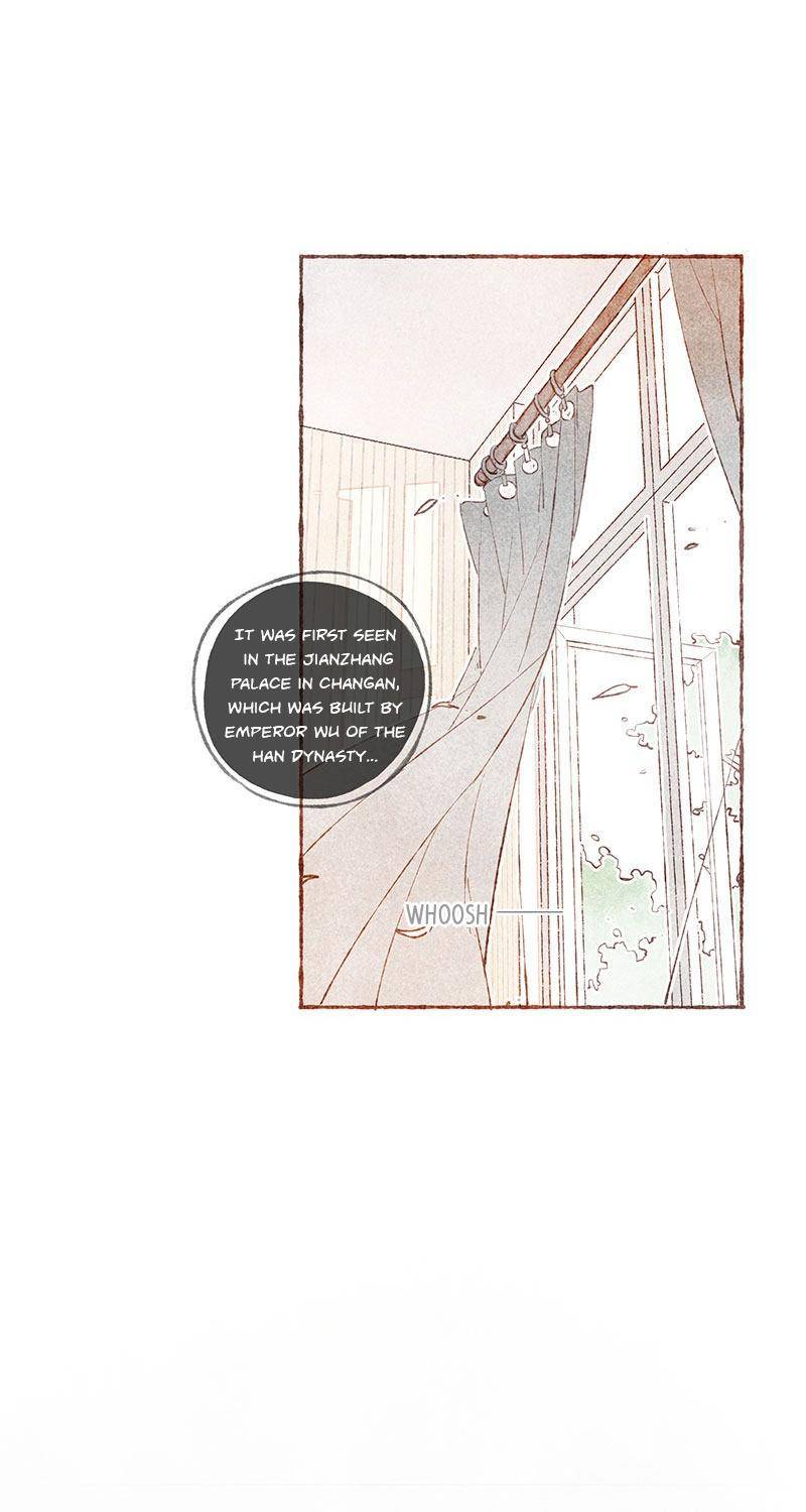 Starting-With-A-Lie-By-Liang-Azha-Eng page 18