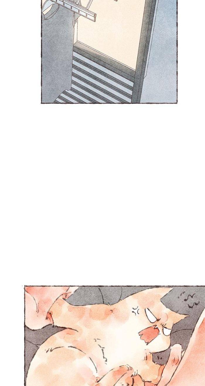 Starting-With-A-Lie-By-Liang-Azha-Eng page 24