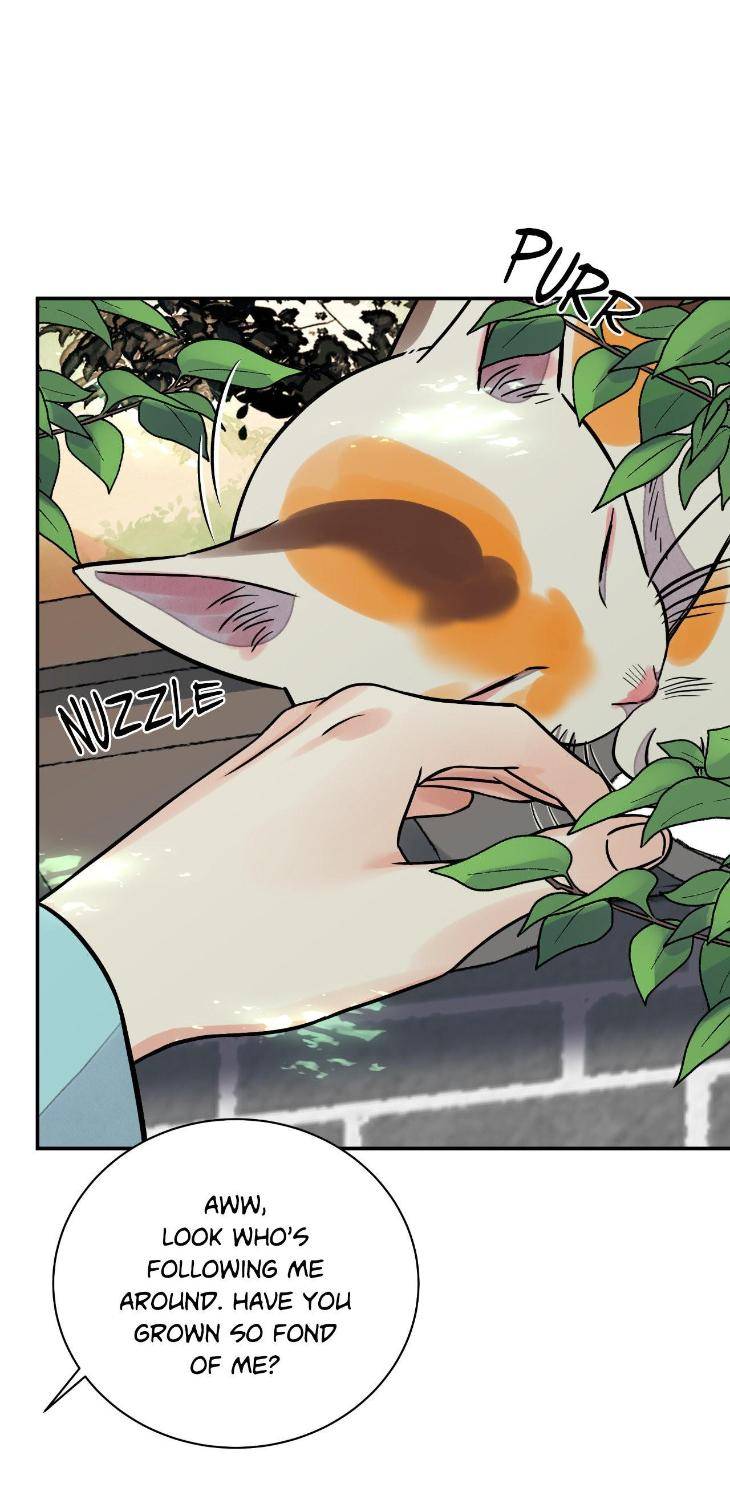 Steel-Under-Silk-By-Snob-Eng page 5