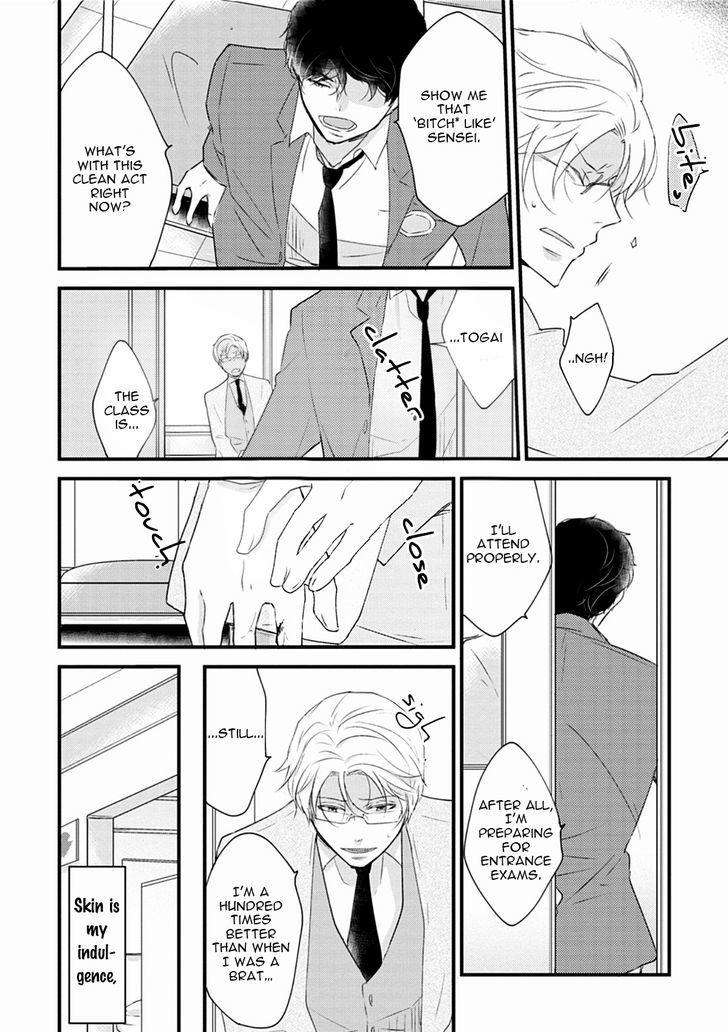 Teddy-Bear-No-Wakarekata-Rakuda-Torino-Eng page 5