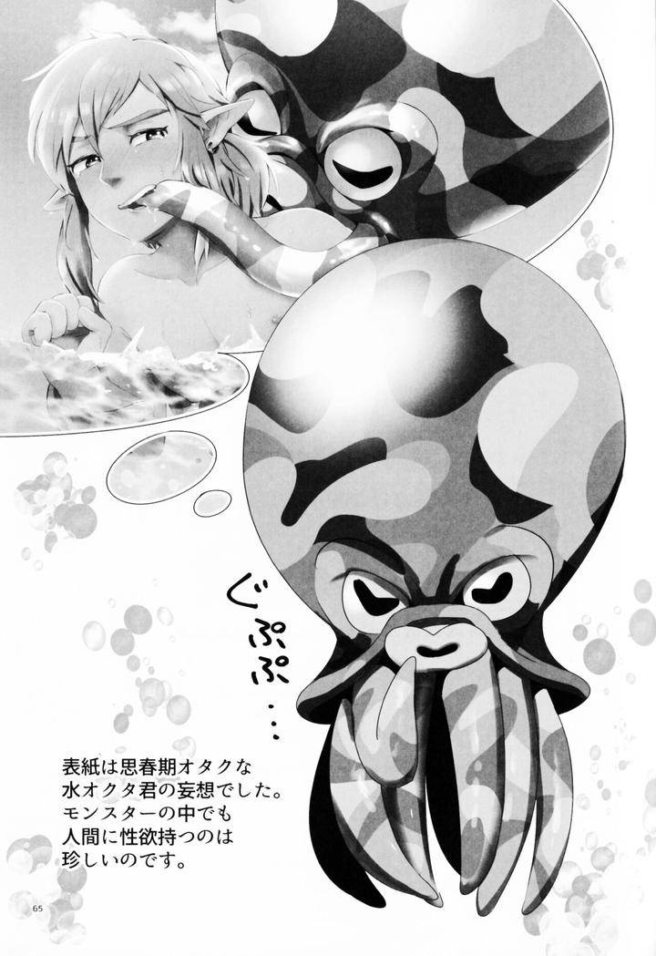 The-Legend-Of-Zelda-Dj-Monster-X-Link-Anthology-Monkan-By-Erotani-Eng page 65