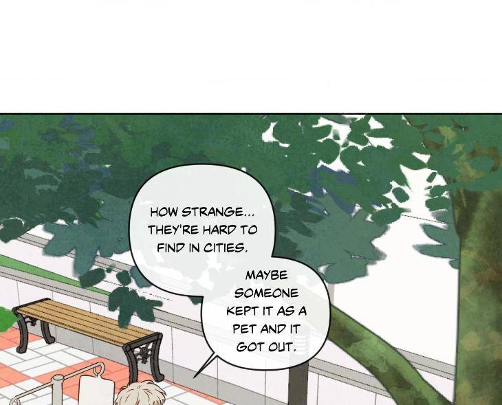 The-Sacred-Serpents-Seduction-By-Dagom-Uncensored-Eng page 27