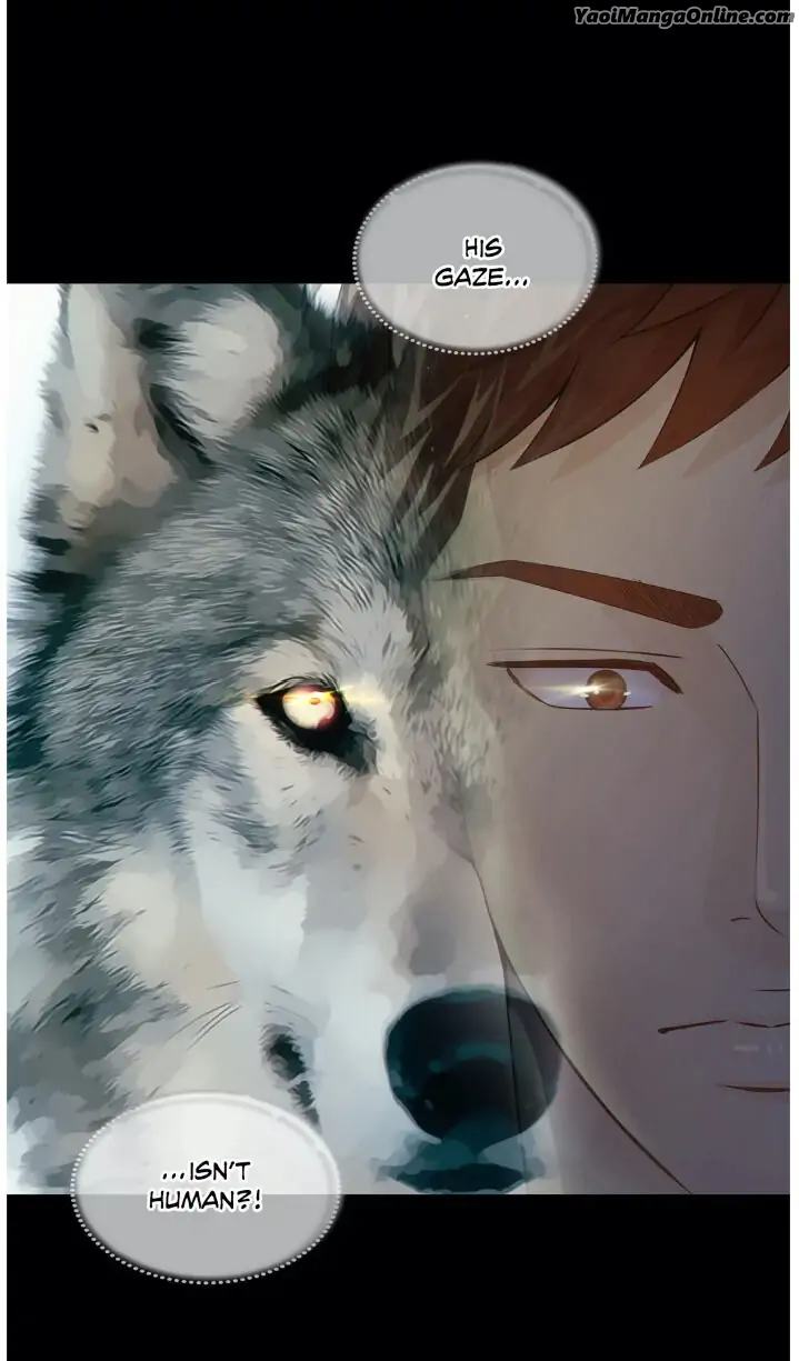 Wolves-Behind-Bars-By-Joy-Lee-Solwoo-Eng page 33