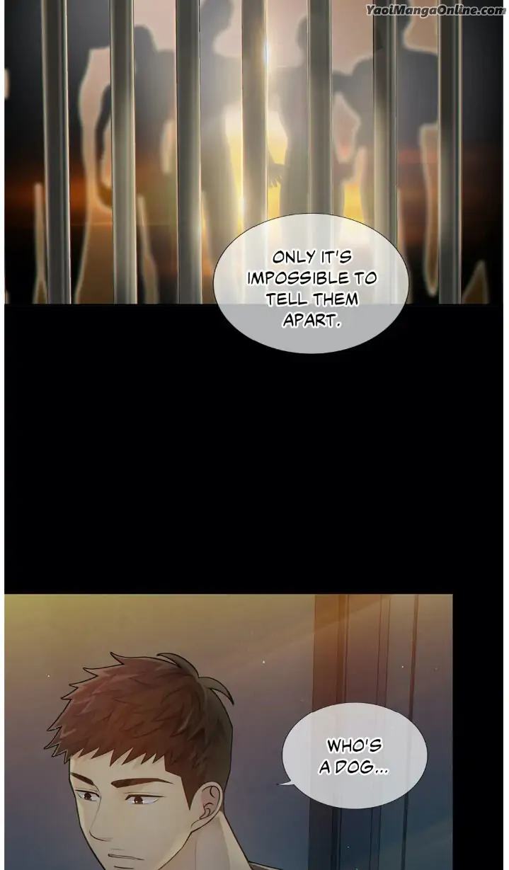 Wolves-Behind-Bars-By-Joy-Lee-Solwoo-Eng page 42