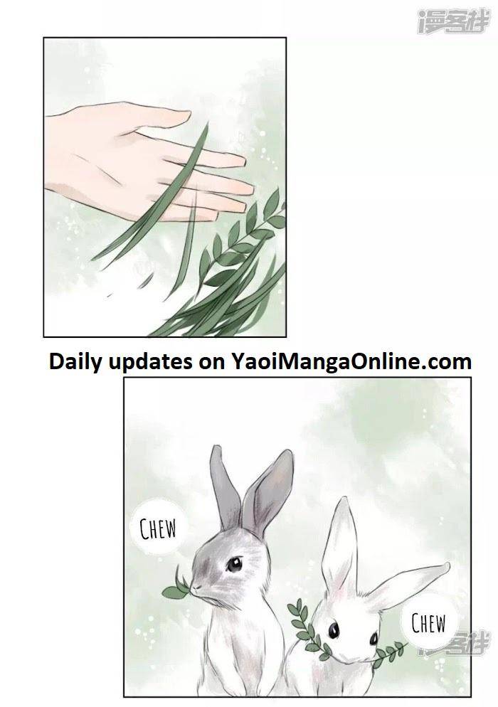 Wooden-Savage-Hypersensitivity-Eng page 10