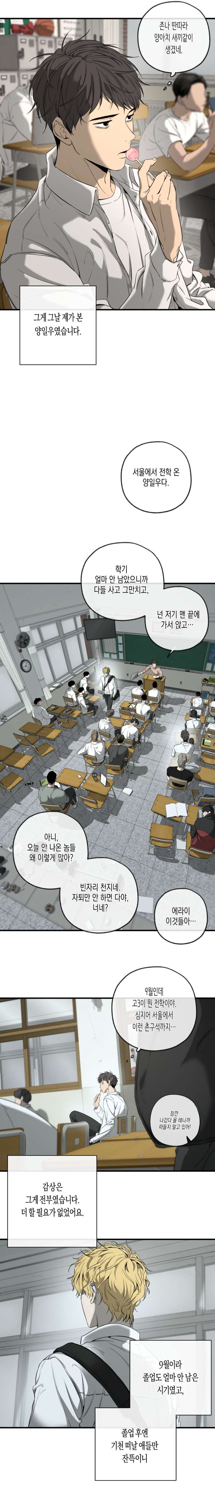 Yang-Il-Woo-And-I-By-Park-Nodeok-Kor page 11