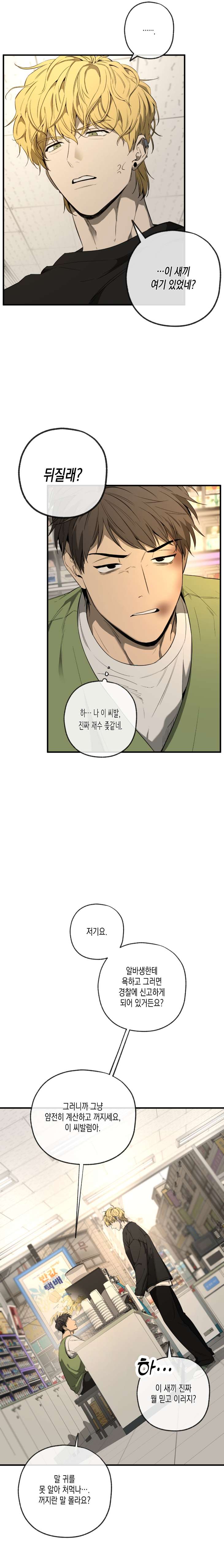 Yang-Il-Woo-And-I-By-Park-Nodeok-Kor page 11