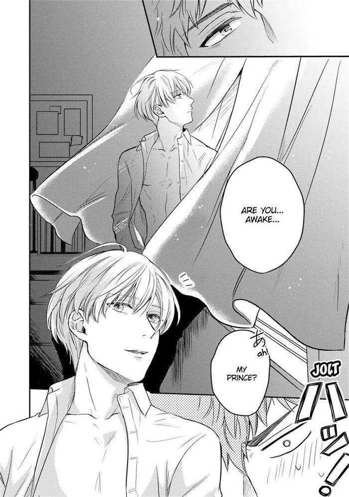 You-Are-My-Princess-By-Hiroto-Kujirada-Eng page 30